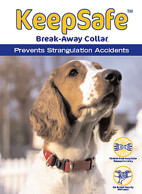 Break away hot sale dog collar