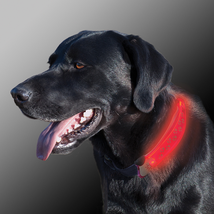 NiteDawg LED Collar Cover Dog photo-NEW