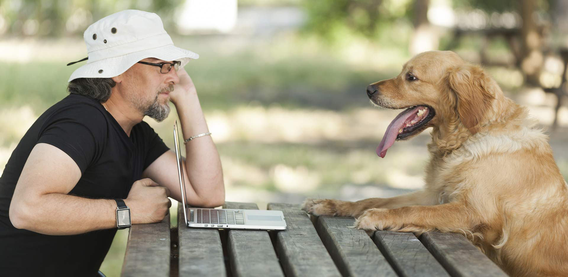 Dog Laptop